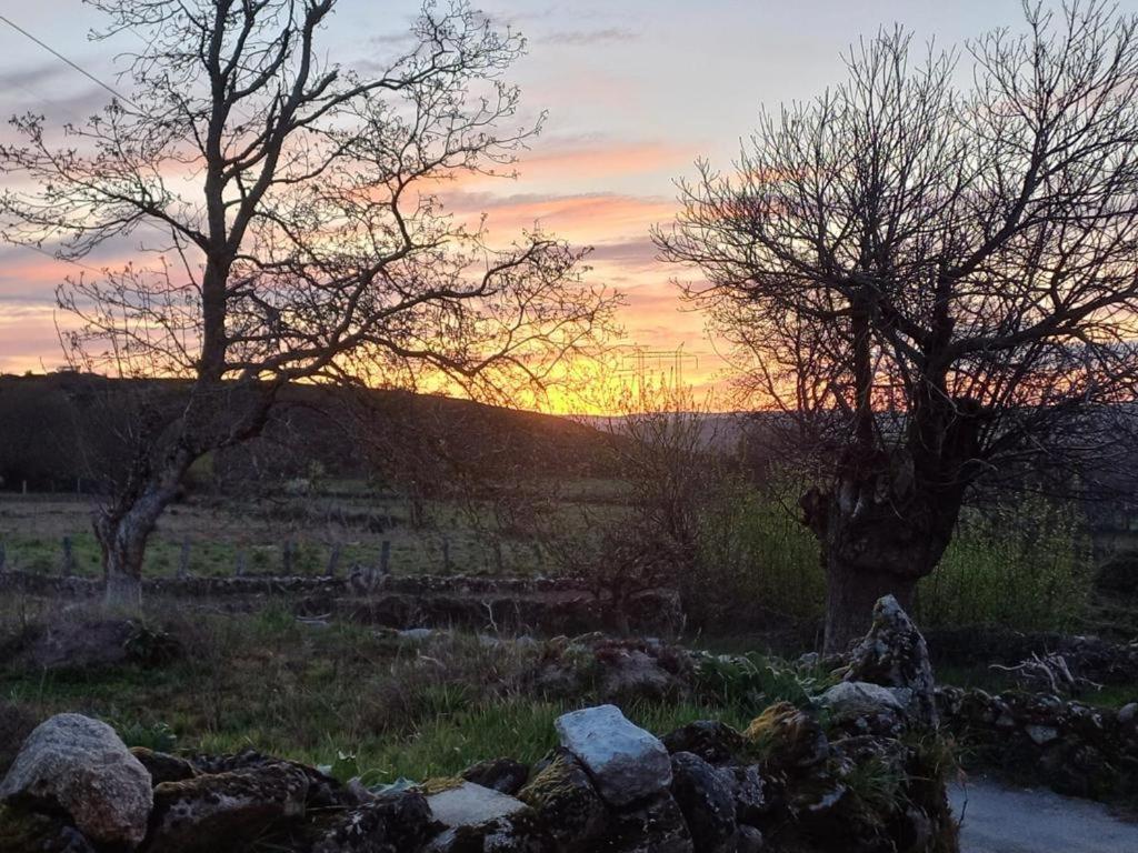 Pension O Corazon Da Ribeira Sacra La Teijeira Kültér fotó