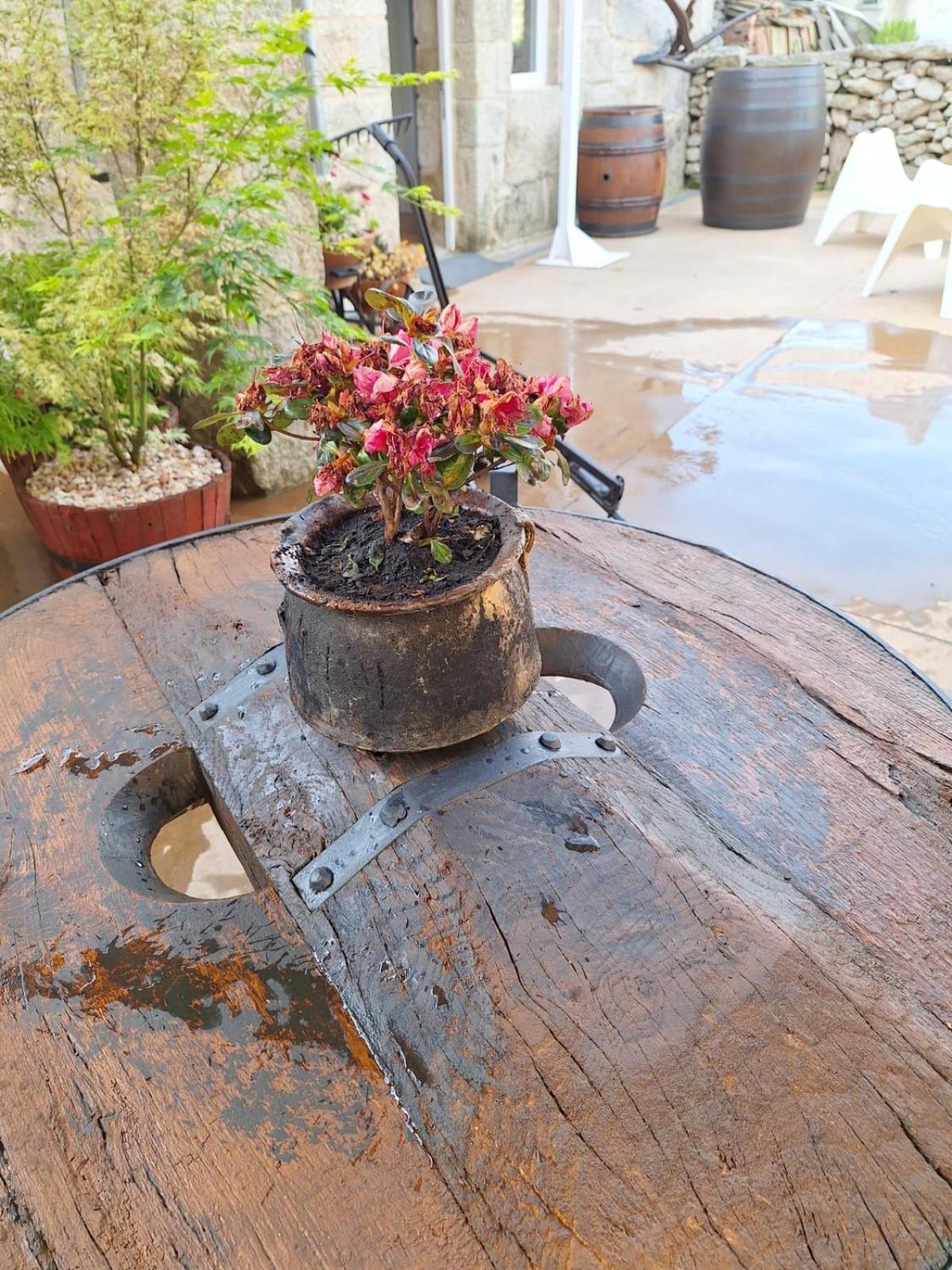 Pension O Corazon Da Ribeira Sacra La Teijeira Kültér fotó